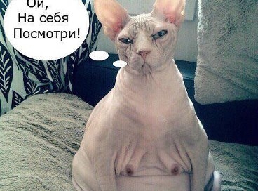 Улыбка на животе, неровность кожи...