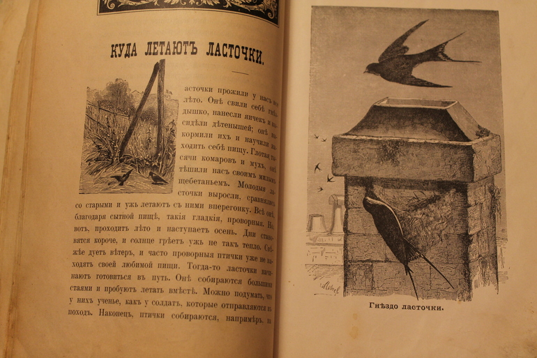 Семейная библиотека.