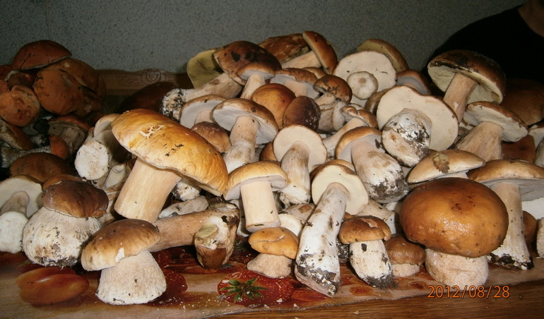 Поток 23 \ Урок №11