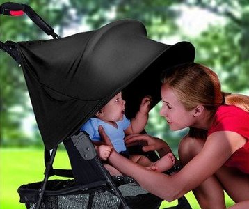 Фил и солнце