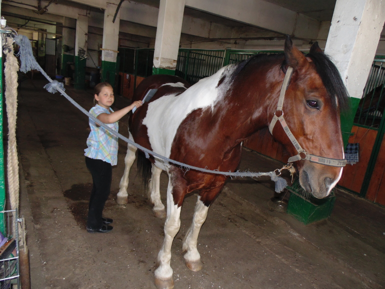КСК последнее занятие этого сезона
