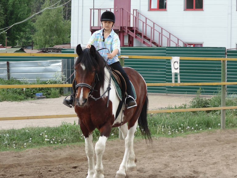 КСК последнее занятие этого сезона