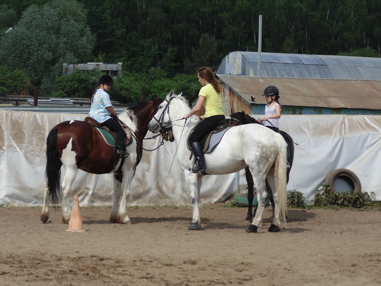 КСК последнее занятие этого сезона
