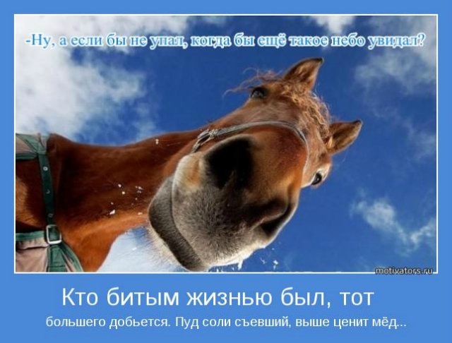 Какие подарочки везет мне Лошадь 2014 года