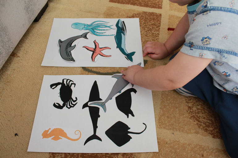 ТН Море - День4. Краб.