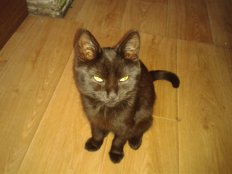 знакомьтесь Бастинда)