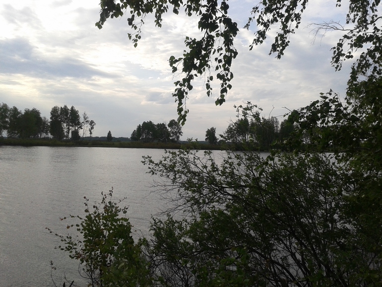 Поездка на природу