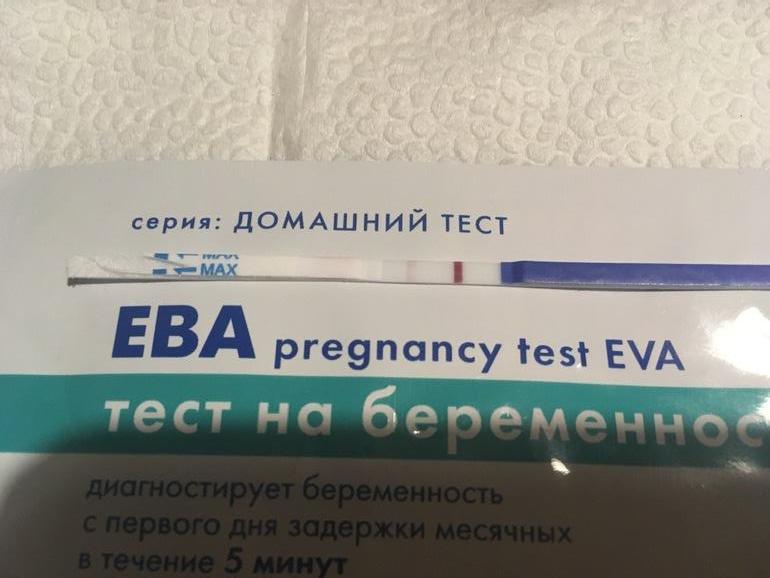 Тест на беременность ева фото