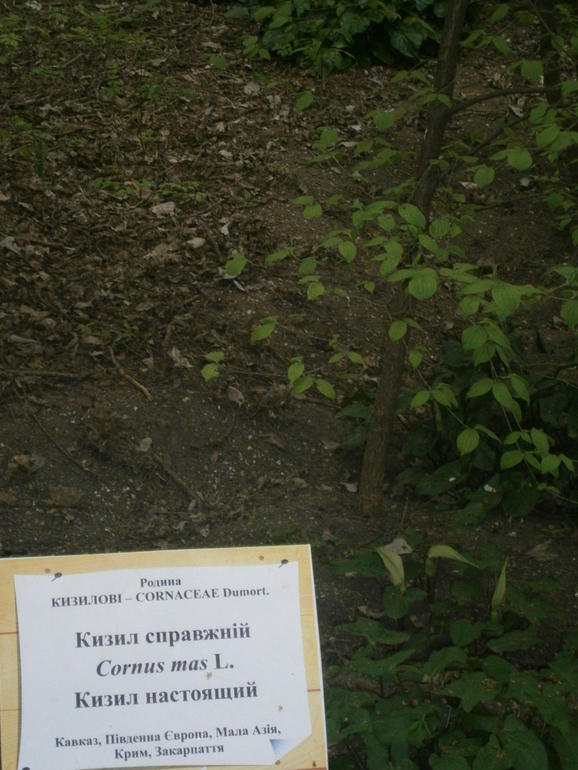 Аскания-Нова.Часть 1.Добро пожаловать под кат