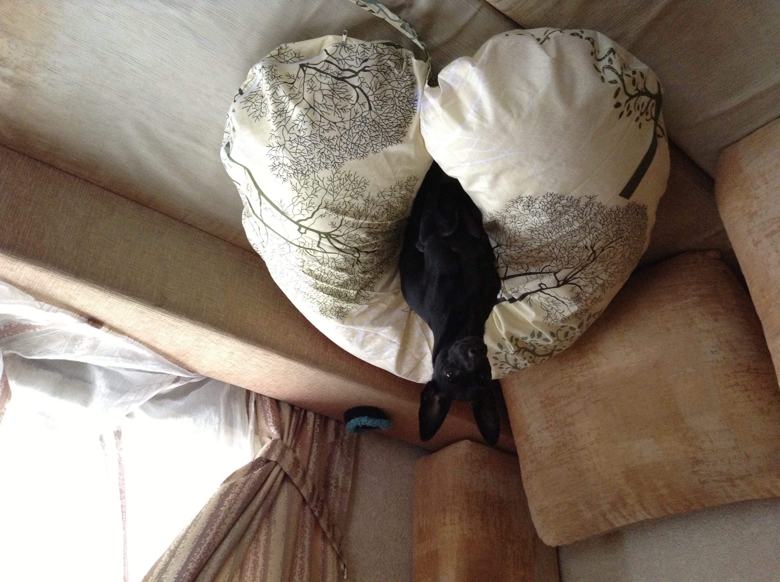 Ураааа! Доставили мою подушку для беременных!!! :)