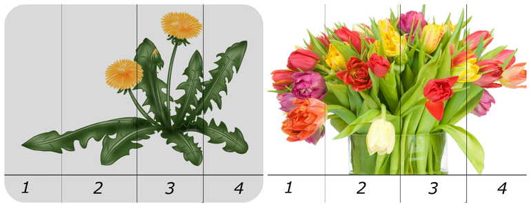 Наше весеннее в 2014. Миру год и 10-11 мес.