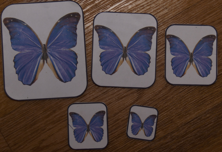 Наше весеннее в 2014. Миру год и 10-11 мес.