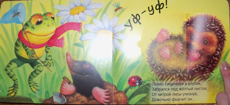 Наше развитие речи