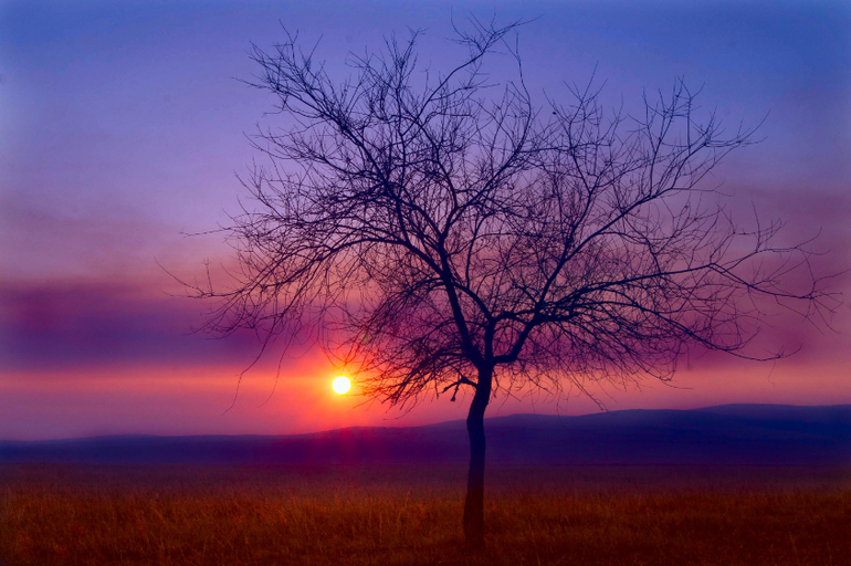 Контрольное задание № 16. Увеличение насыщенности