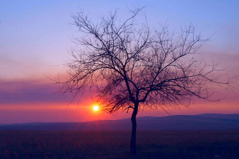 Контрольное задание № 16. Увеличение насыщенности