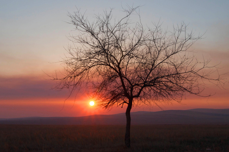 Контрольное задание № 16. Увеличение насыщенности