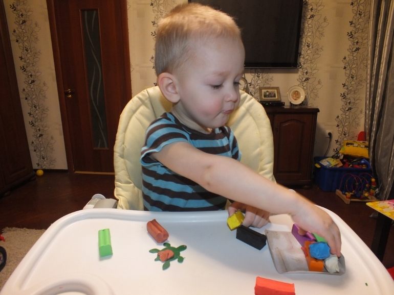 ТН подводный мир и его обитатели.