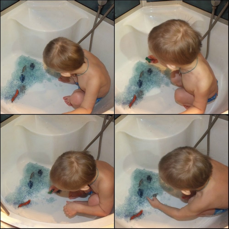 ТН подводный мир и его обитатели.