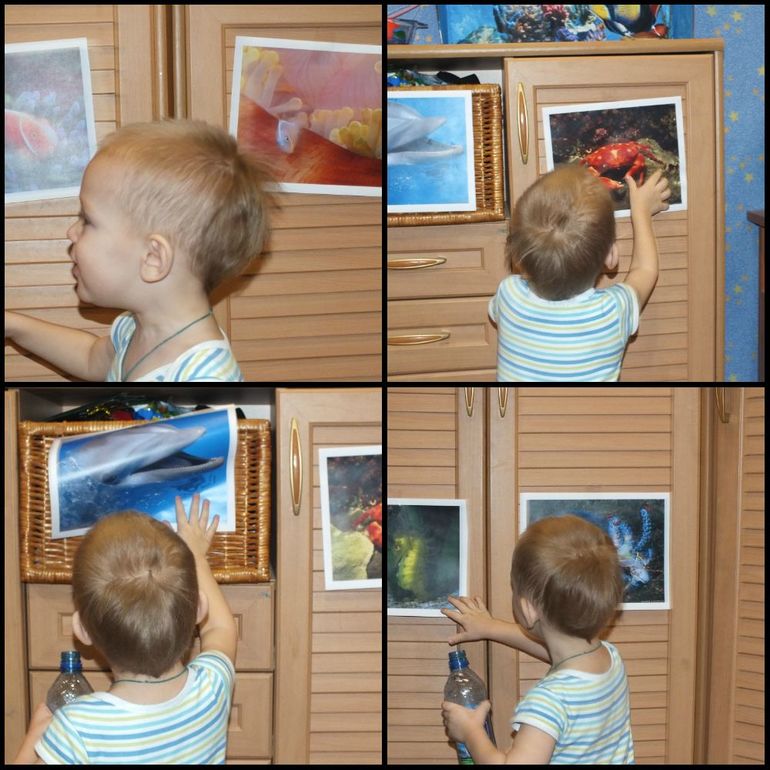 ТН подводный мир и его обитатели.