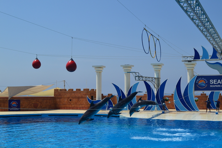 Наш отдых в Long Beach Resort Hotel & Spa 5*