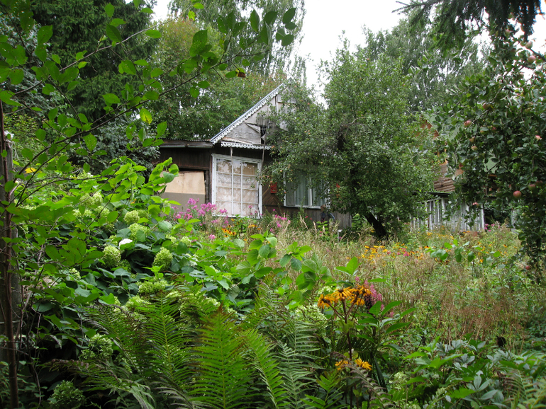 Участок с летним домом 25 км Новой Риги