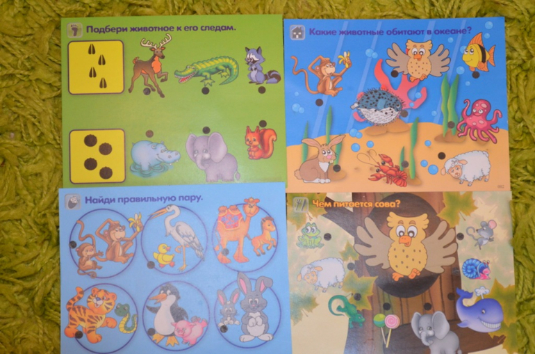 Интерактивный карандаш-всезнайка