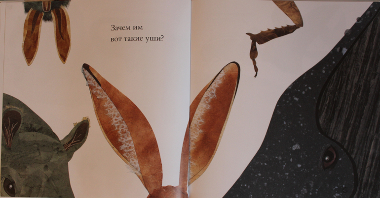 Наша книжная жизнь