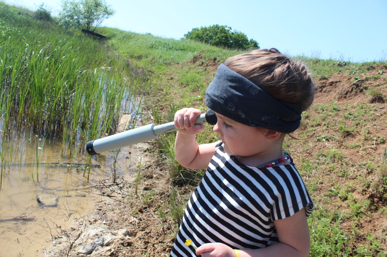 Сокровища пиратов