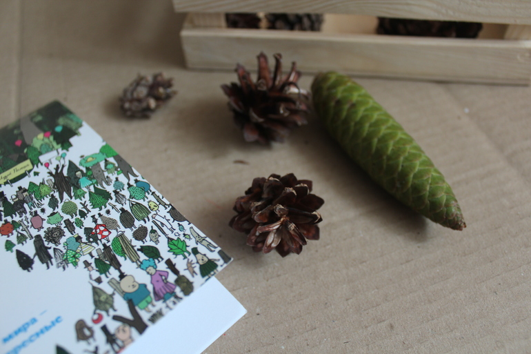 Полеш открывает музей