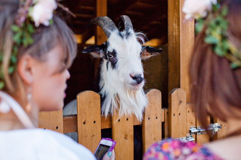 Девичник. полная серия)
