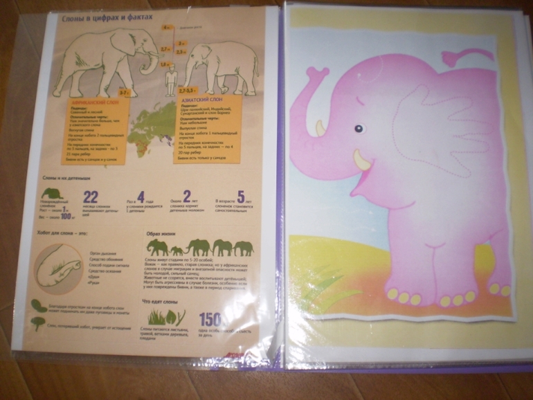 Сказка «Телефон»