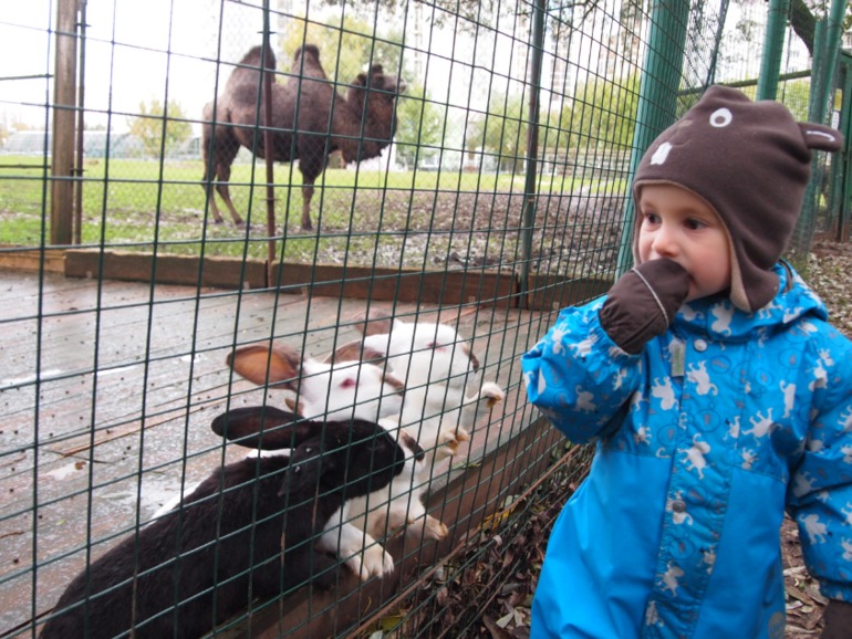 Осень (много фото)