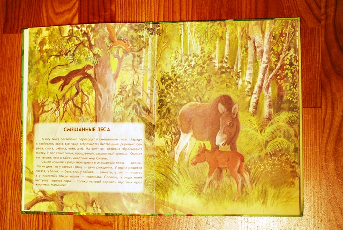 Книга о животных и маленькие географические атласы.