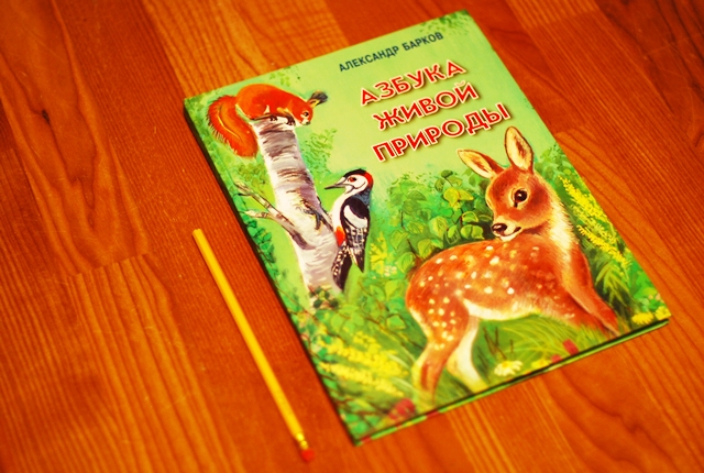 Книга о животных и маленькие географические атласы.