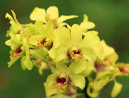 Happy Birthday Sophia!!!!!!