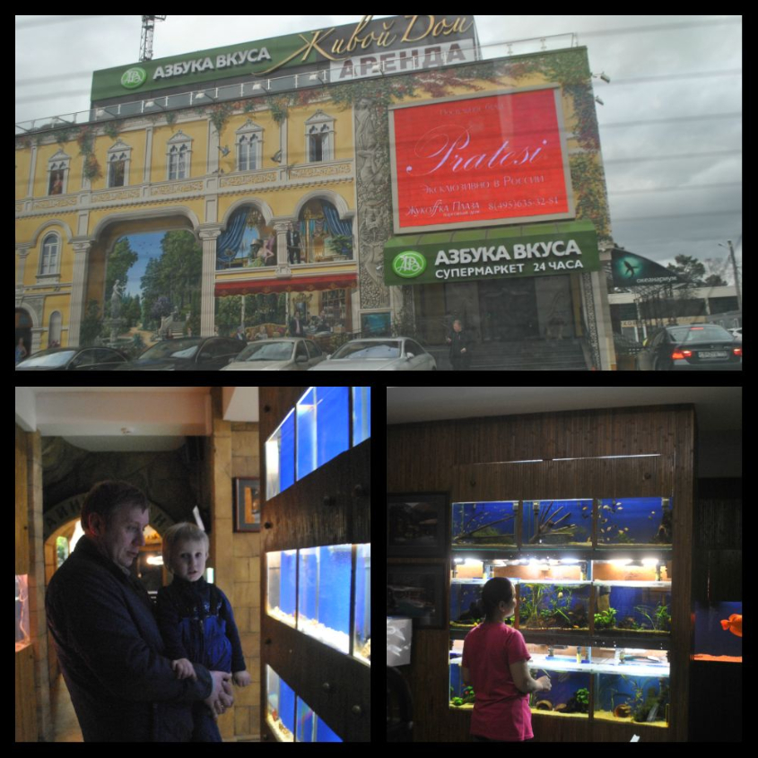 Океанариум-экзотариум «Тайны океана» и «Сад бабочек»: наши впечатления