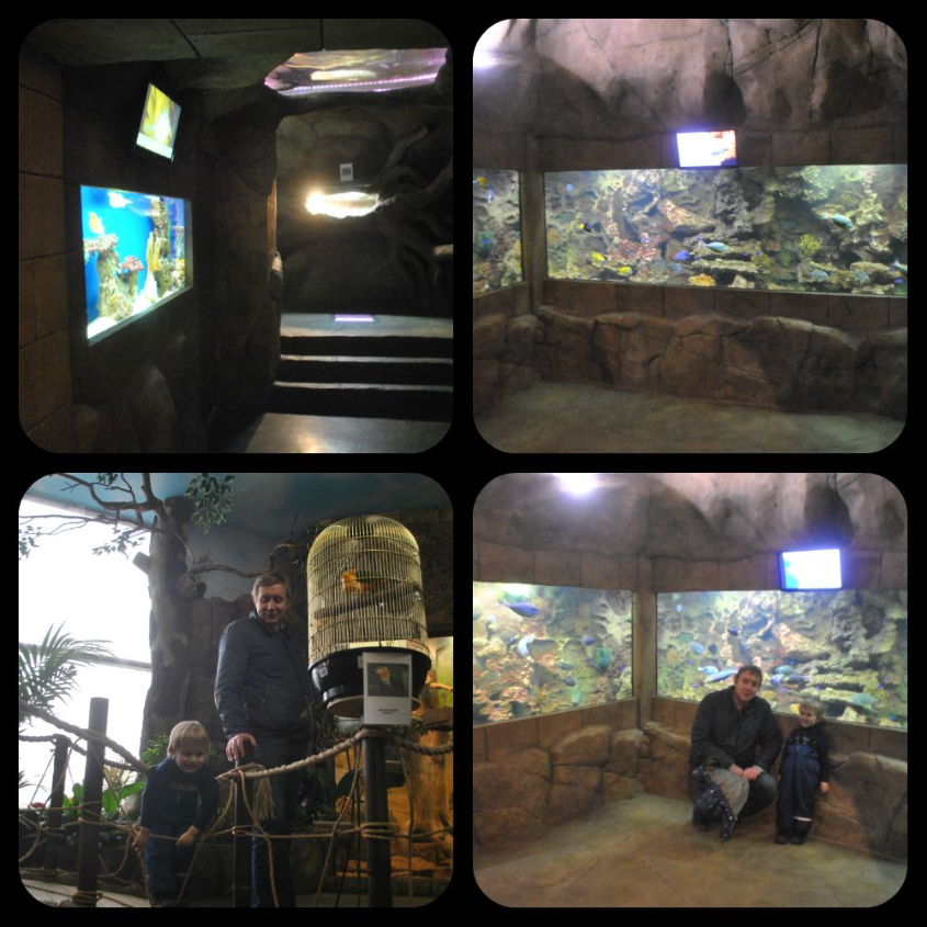 Океанариум-экзотариум «Тайны океана» и «Сад бабочек»: наши впечатления