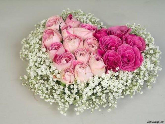 4a1ebfe16f3100cf8a93d07c2b88fa63.jpg