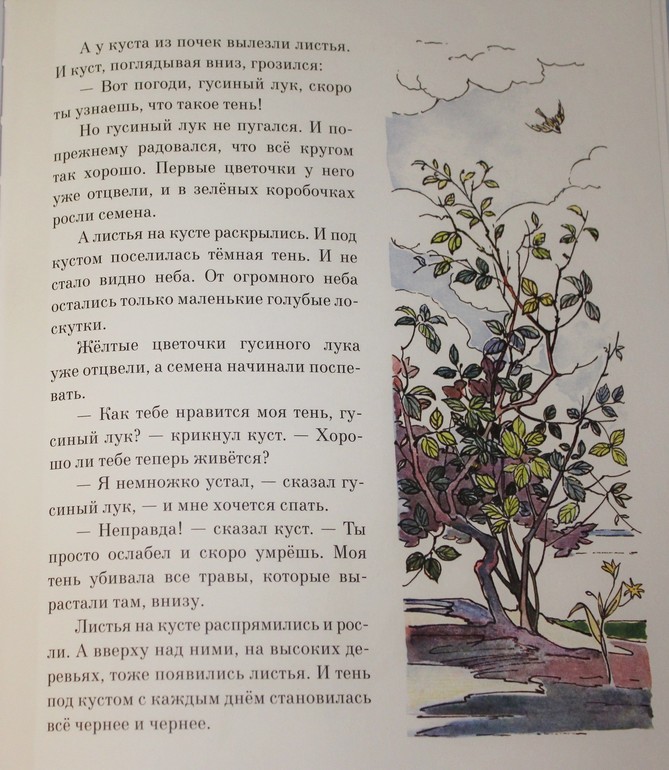 Немножко про новинки ))