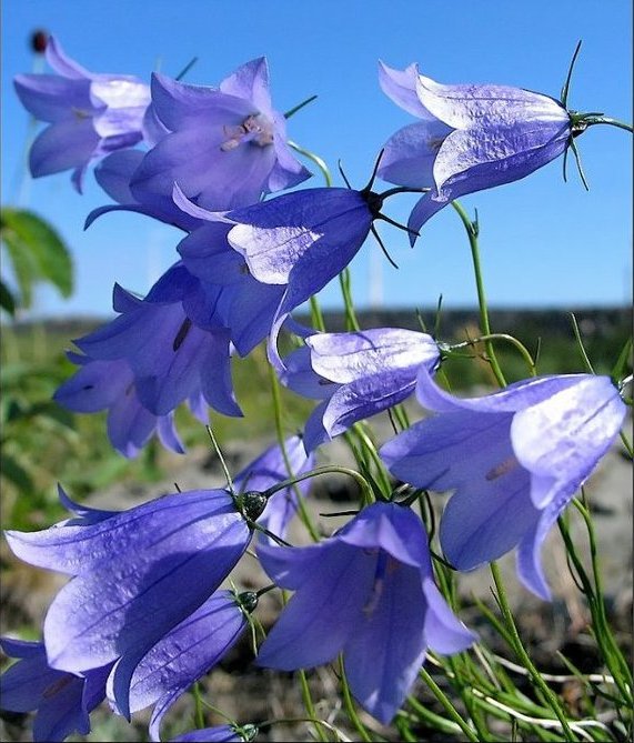 Небольшая стопочка из очередного книжного пополнения