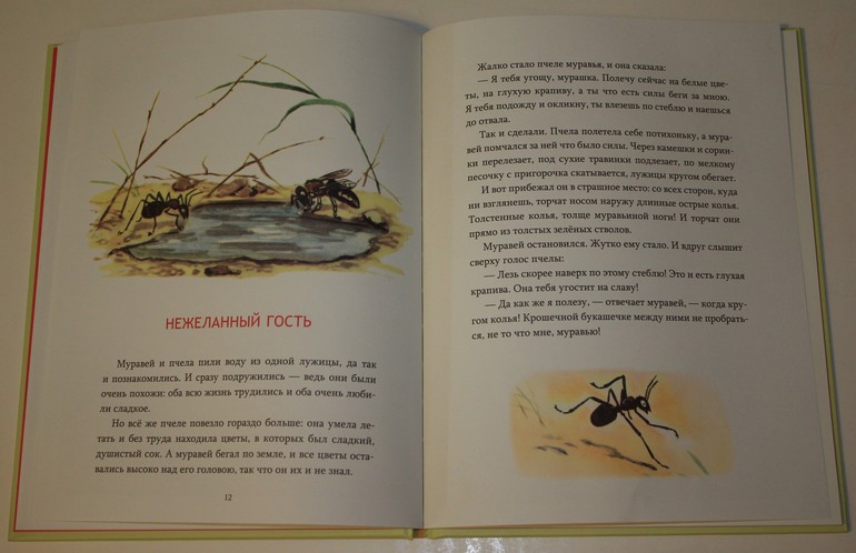 Немножко про новинки ))