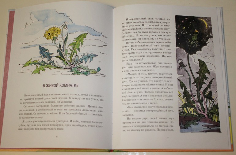 Немножко про новинки ))