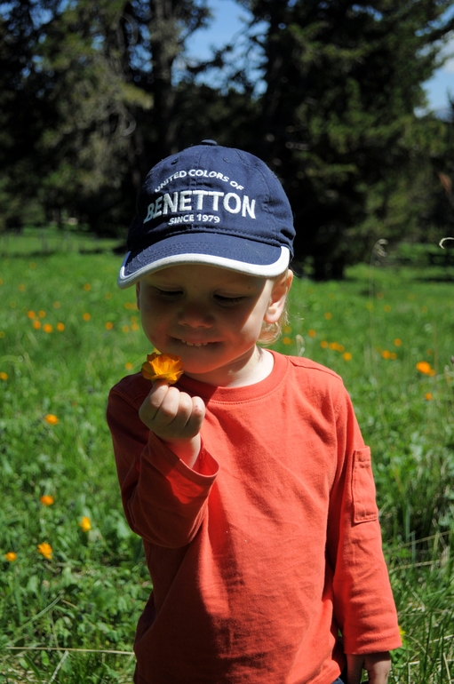 Воспоминания о лете