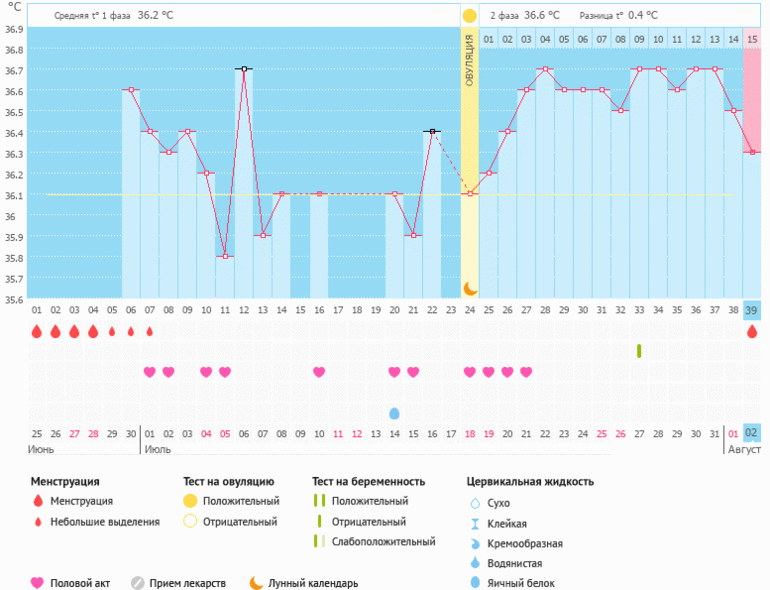 Базальная температура во время беременности