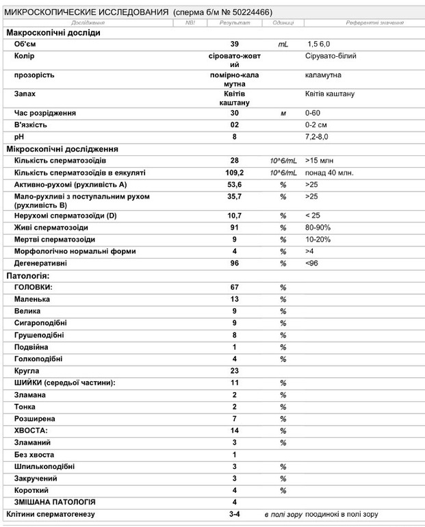 Спермограмма результаты расшифровка