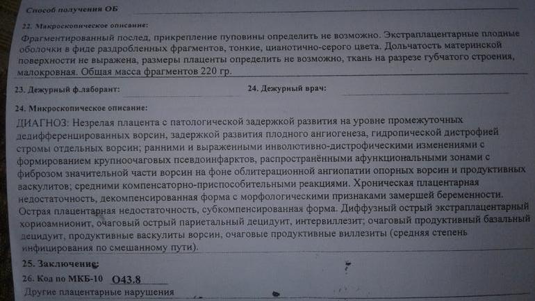 Результаты гистологии пример. Гистология анализ. Пришли результаты гистологии. Результаты гистологии. Гистология эмбриона после замершей беременности.