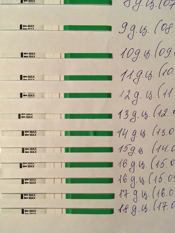 16 день цикла. Тест на овуляцию. Тесты на овуляцию по дням. Тест на овуляцию по дням цикла. Результаты теста на овуляцию.