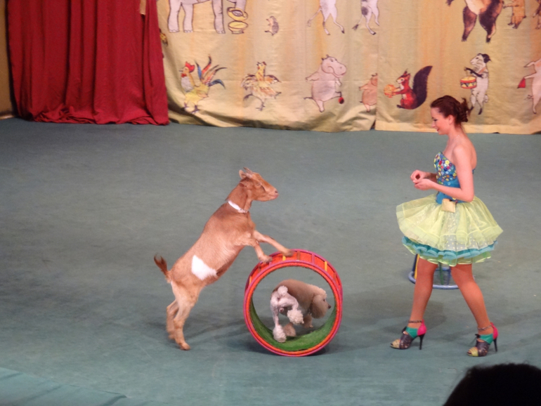 А мы сегодня были 