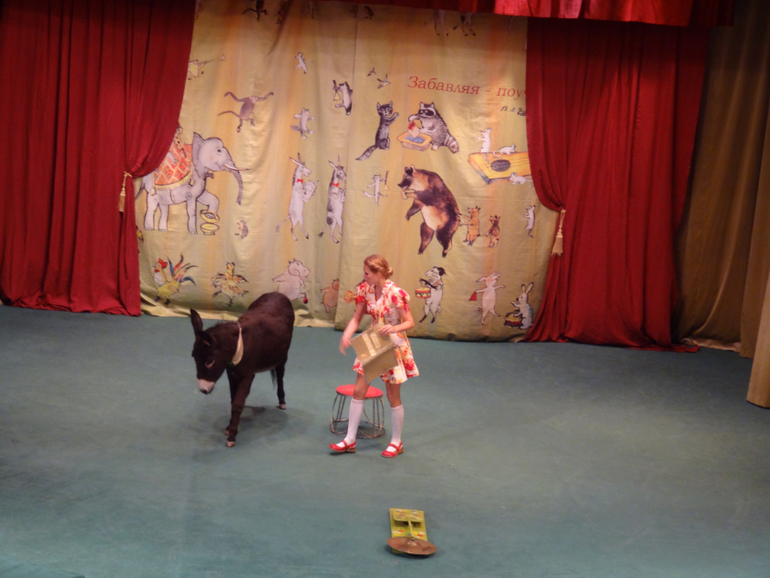 А мы сегодня были 