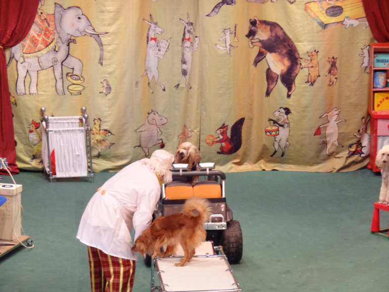 А мы сегодня были 